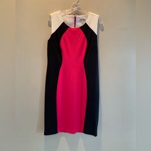 Shelby & Palmer Pink, Black, and White Midi Dress